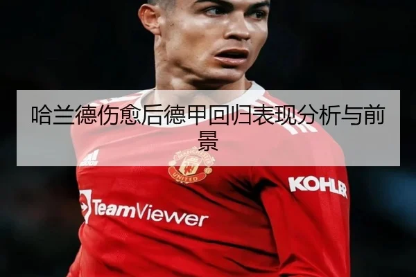 哈兰德伤愈后德甲回归表现分析与前景